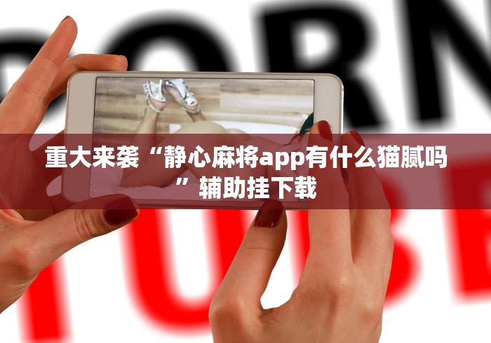 重大来袭“静心麻将app有什么猫腻吗”辅助挂下载