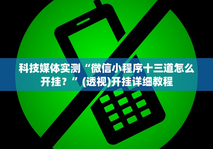 科技媒体实测“微信小程序十三道怎么开挂？”(透视)开挂详细教程