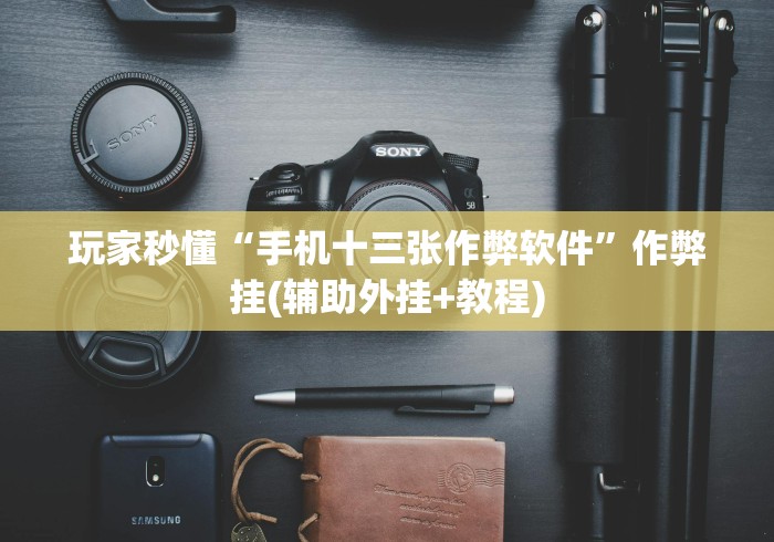 玩家秒懂“手机十三张作弊软件”作弊挂(辅助外挂+教程)