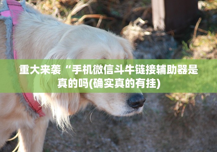 玩家最新攻略“一天棋牌开挂神器”通用版下载教程