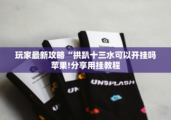 玩家最新攻略“拱趴十三水可以开挂吗苹果!分享用挂教程