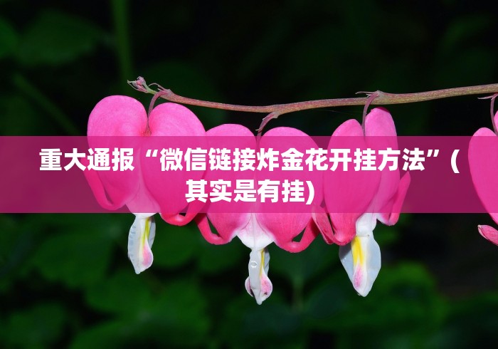 玩家秒懂“富阳十三道有人开挂吗”详细外挂辅助详细教程