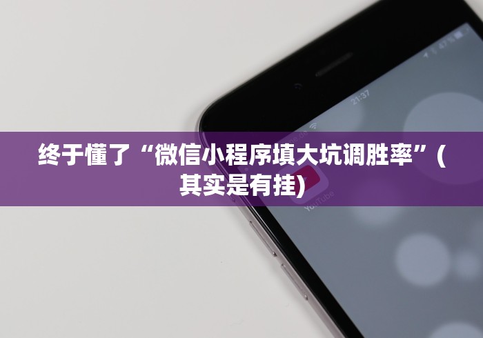 终于懂了“微信小程序填大坑调胜率”(其实是有挂)