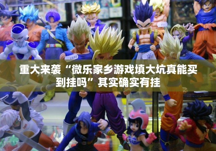 重大来袭“微乐家乡游戏填大坑真能买到挂吗”其实确实有挂