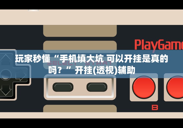 玩家秒懂“手机填大坑 可以开挂是真的吗？”开挂(透视)辅助