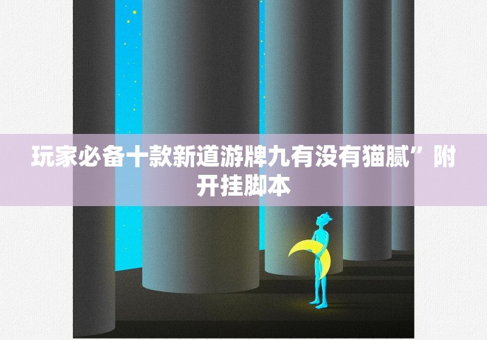 玩家必备十款新道游牌九有没有猫腻”附开挂脚本