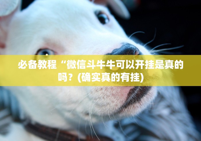 必备教程“微信斗牛牛可以开挂是真的吗？(确实真的有挂)