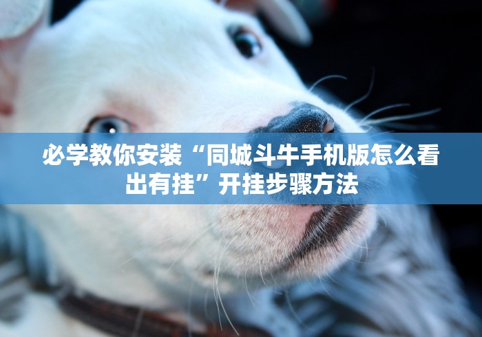 必学教你安装“同城斗牛手机版怎么看出有挂”开挂步骤方法